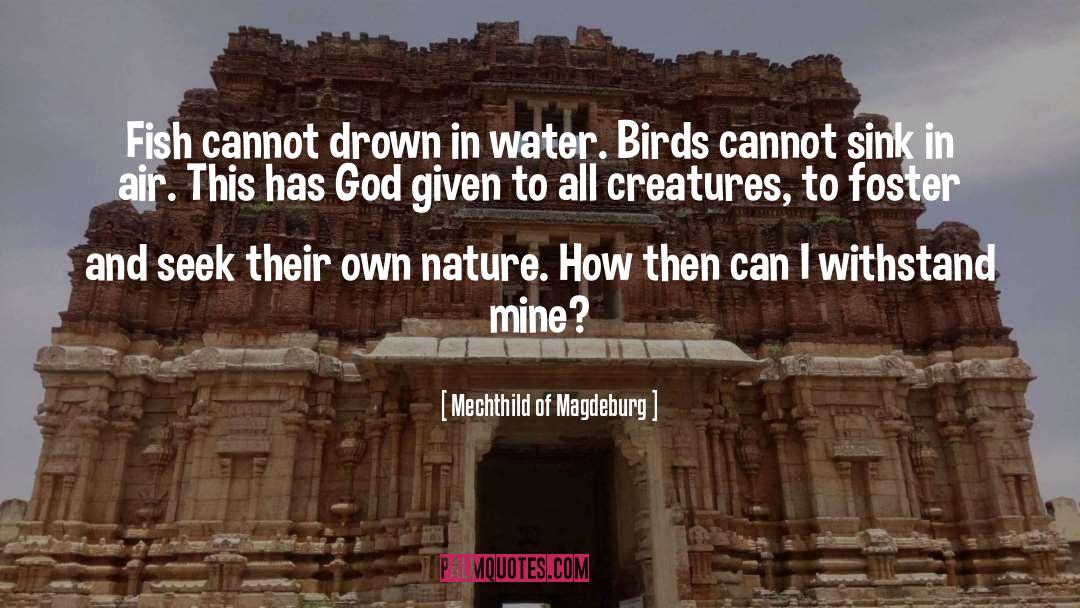 Mechthild Of Magdeburg Quotes: Fish cannot drown in water.