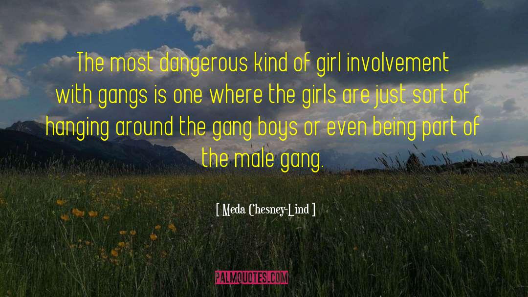 Meda Chesney-Lind Quotes: The most dangerous kind of
