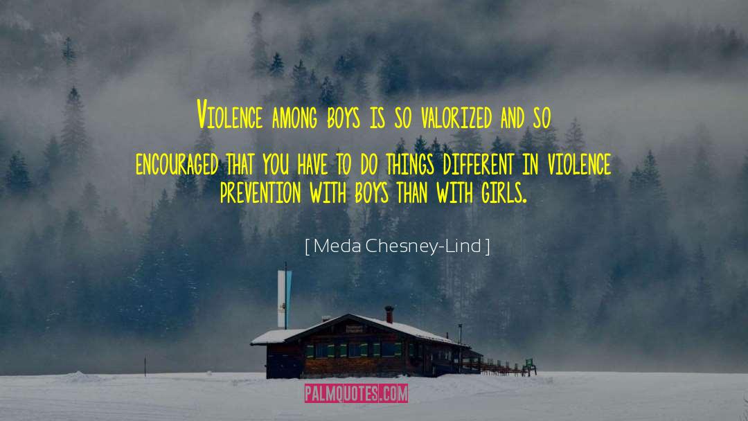 Meda Chesney-Lind Quotes: Violence among boys is so