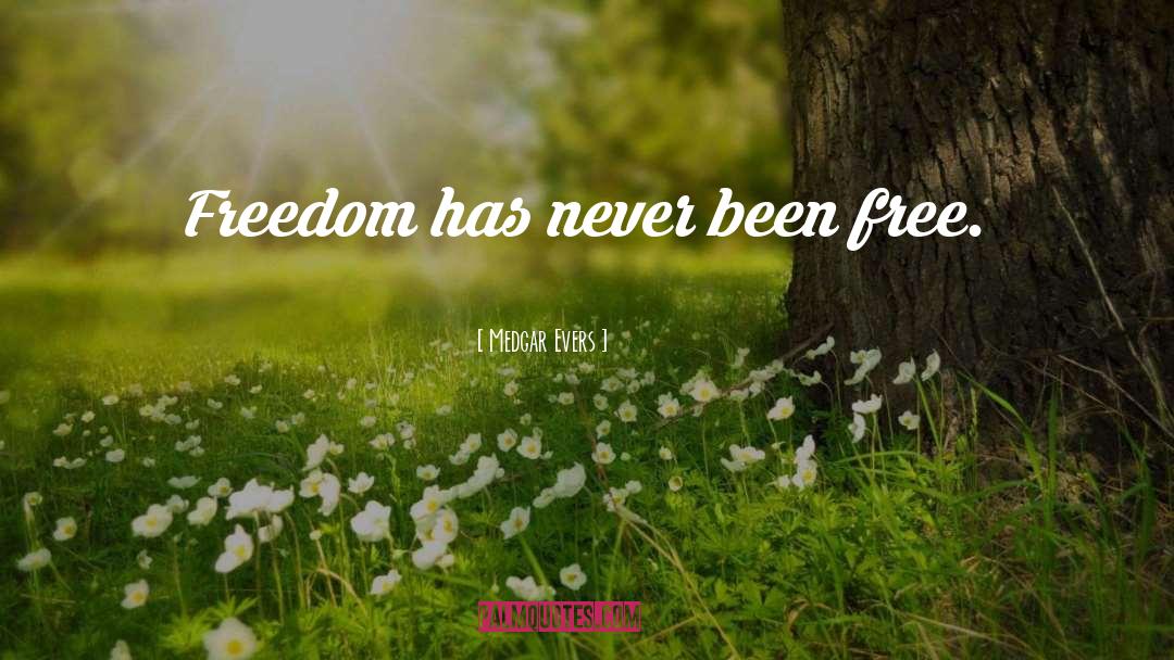 Medgar Evers Quotes: Freedom has never been free.