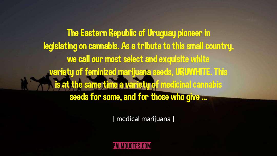 Medical Marijuana Quotes: The Eastern Republic of Uruguay