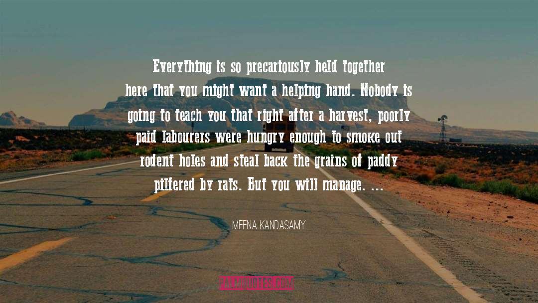 Meena Kandasamy Quotes: Everything is so precariously held