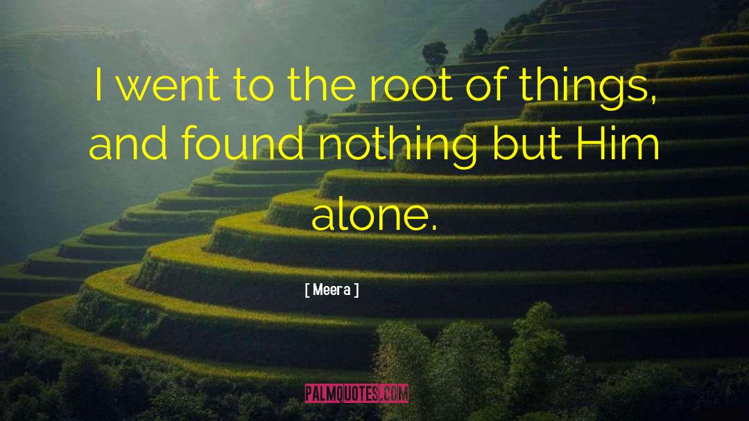 Meera Quotes: I went to the root