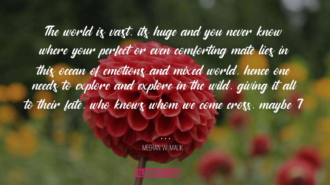 Meeran W. Malik Quotes: The world is vast, its