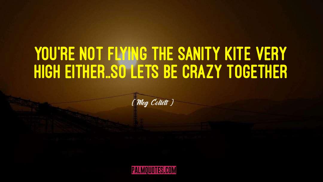 Meg Collett Quotes: You're not flying the sanity