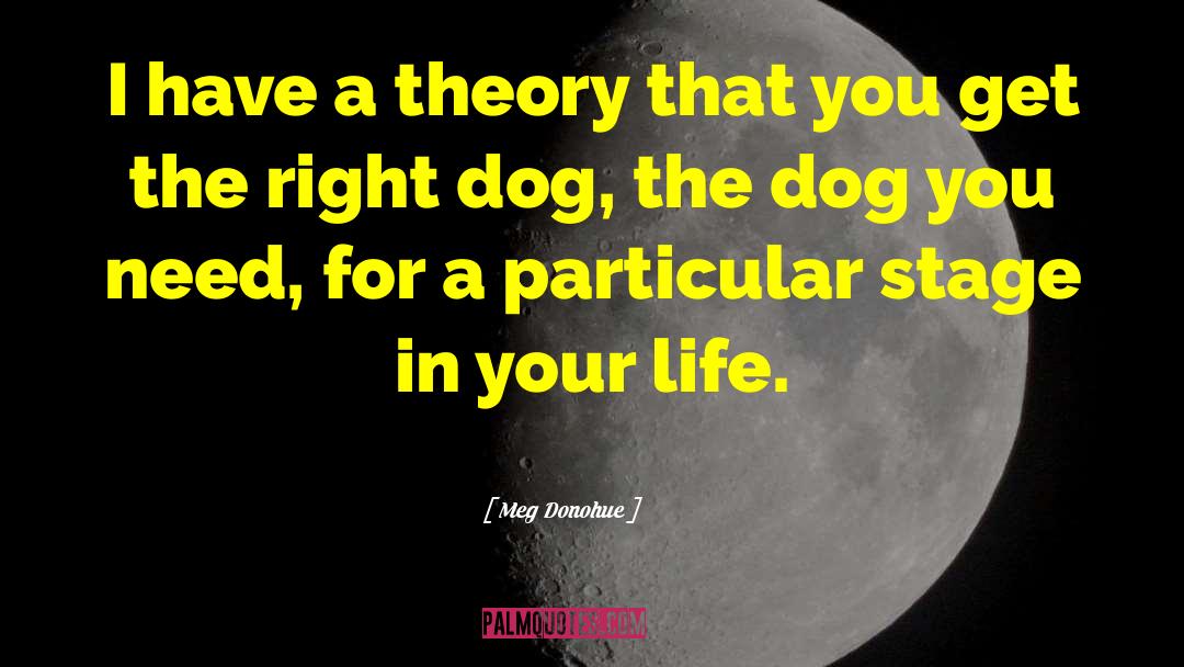 Meg Donohue Quotes: I have a theory that