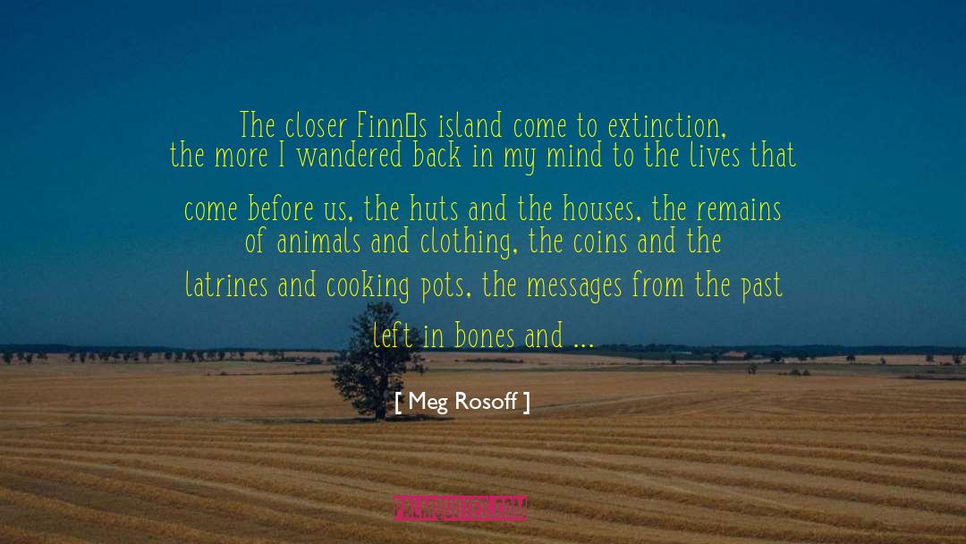 Meg Rosoff Quotes: The closer Finn`s island come