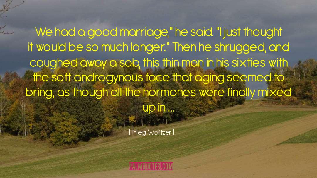 Meg Wolitzer Quotes: We had a good marriage,