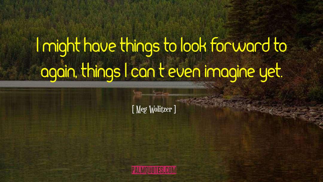 Meg Wolitzer Quotes: I might have things to