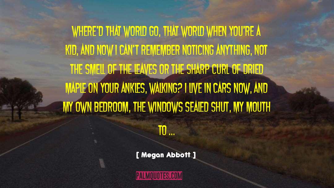 Megan Abbott Quotes: Where'd that world go, that