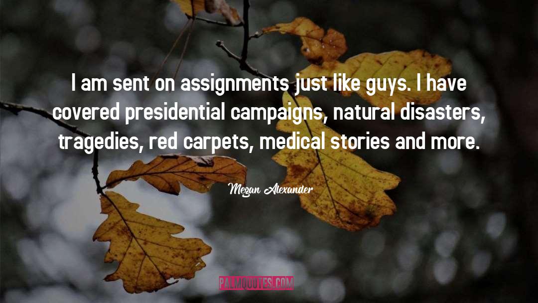 Megan Alexander Quotes: I am sent on assignments