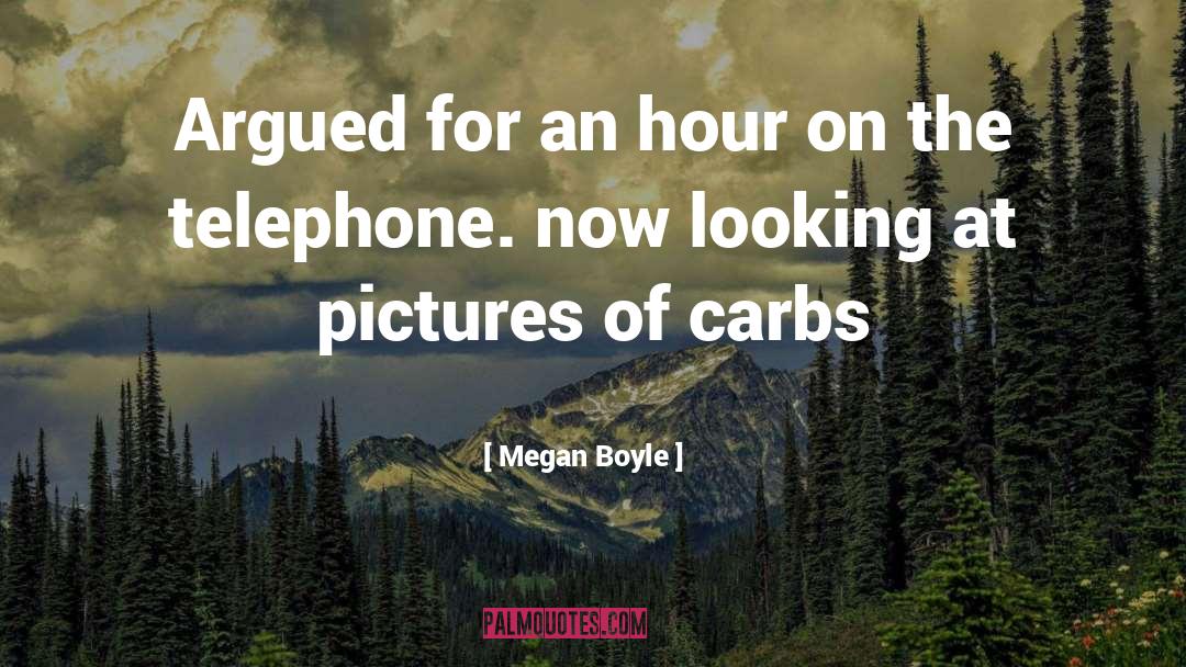 Megan Boyle Quotes: Argued for an hour on