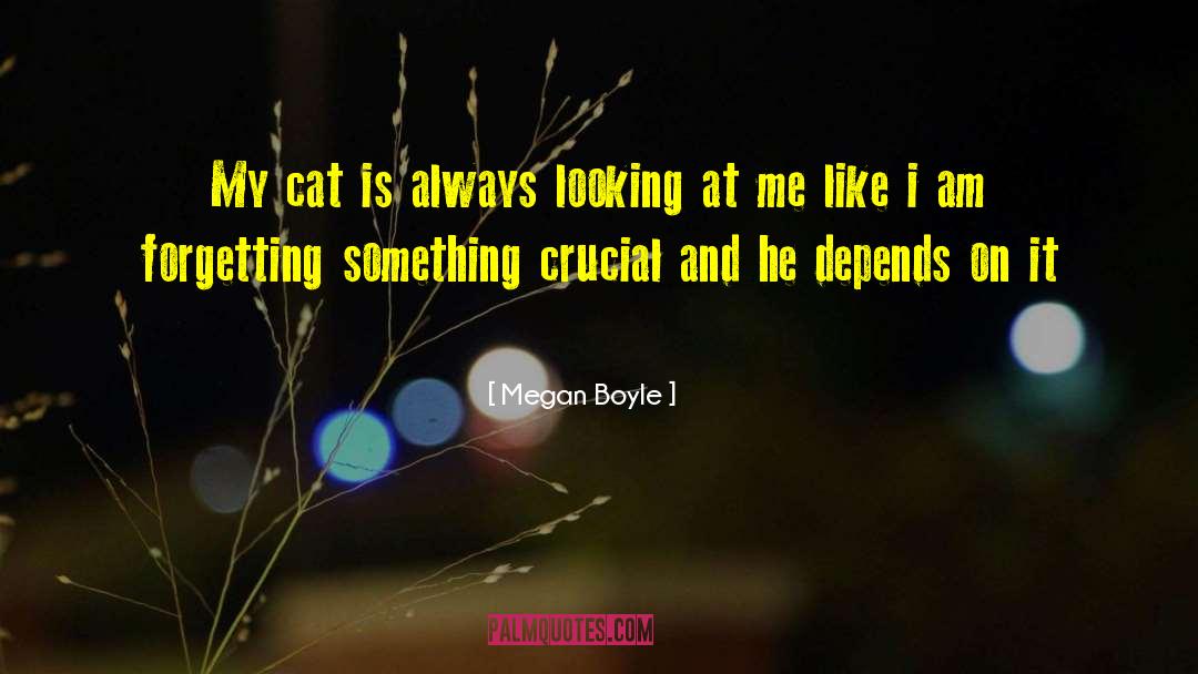 Megan Boyle Quotes: My cat is always looking