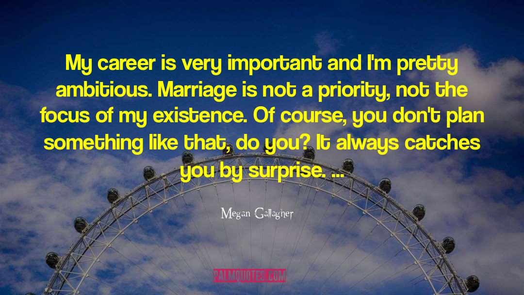 Megan Gallagher Quotes: My career is very important