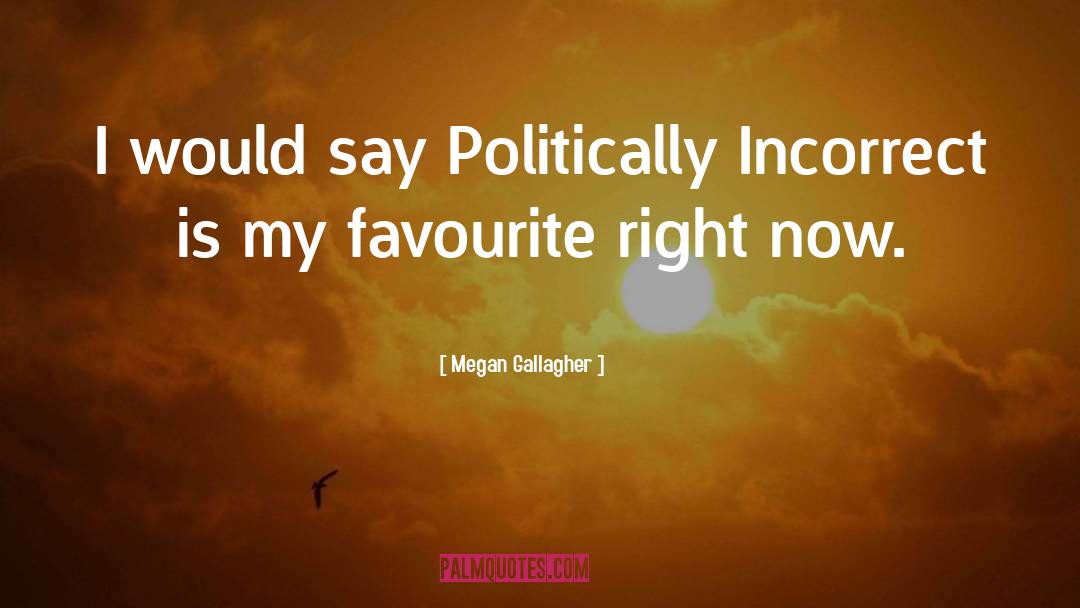 Megan Gallagher Quotes: I would say Politically Incorrect