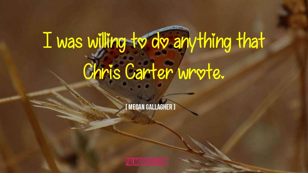 Megan Gallagher Quotes: I was willing to do