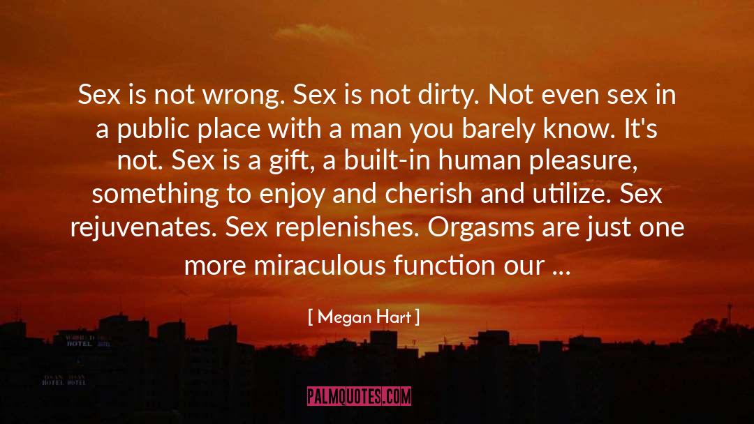 Megan Hart Quotes: Sex is not wrong. Sex