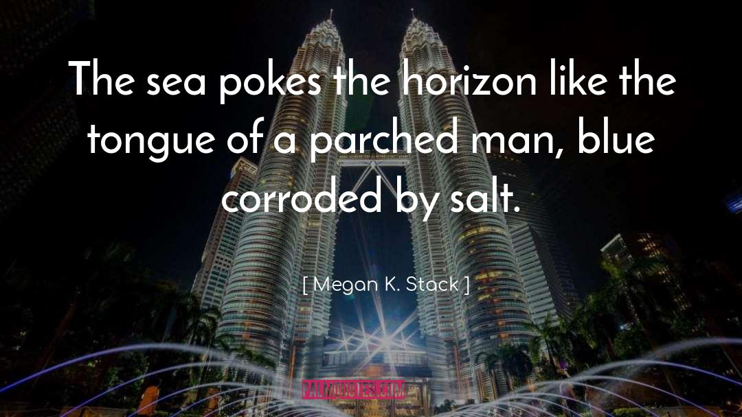Megan K. Stack Quotes: The sea pokes the horizon