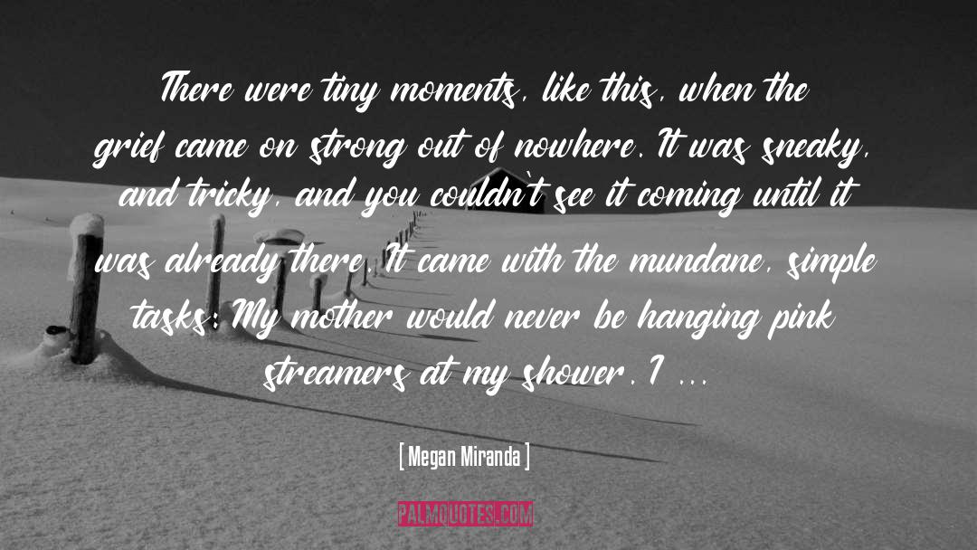 Megan Miranda Quotes: There were tiny moments, like