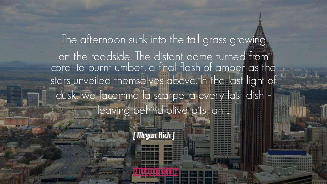 Megan Rich Quotes: The afternoon sunk into the