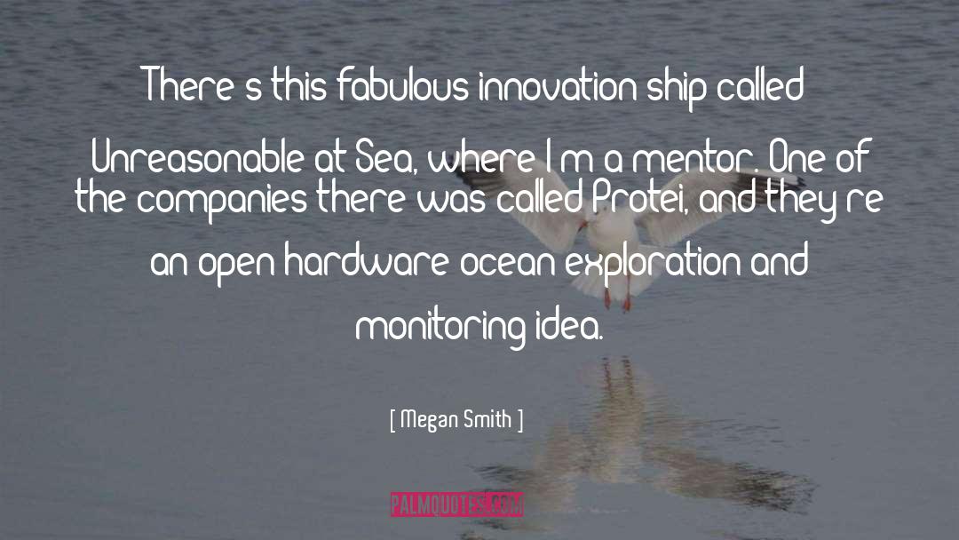 Megan Smith Quotes: There's this fabulous innovation ship