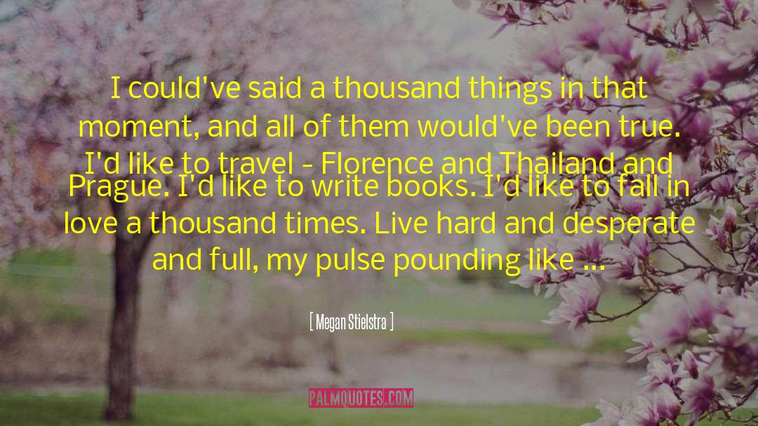 Megan Stielstra Quotes: I could've said a thousand
