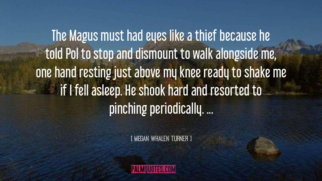Megan Whalen Turner Quotes: The Magus must had eyes