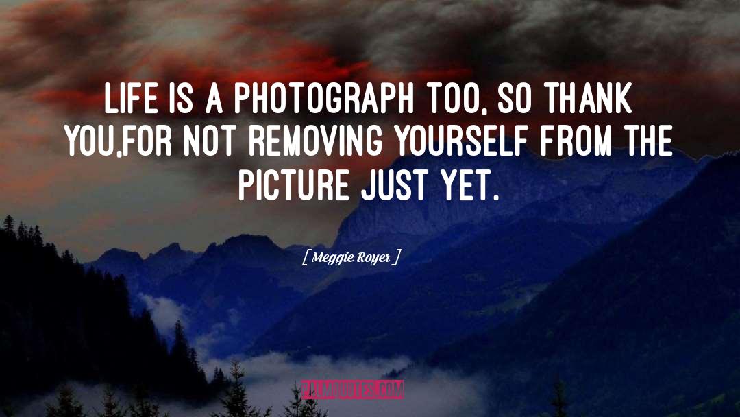 Meggie Royer Quotes: Life is a photograph too,