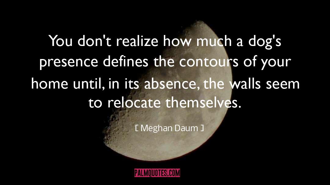 Meghan Daum Quotes: You don't realize how much