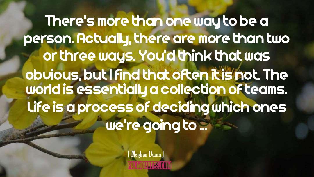 Meghan Daum Quotes: There's more than one way