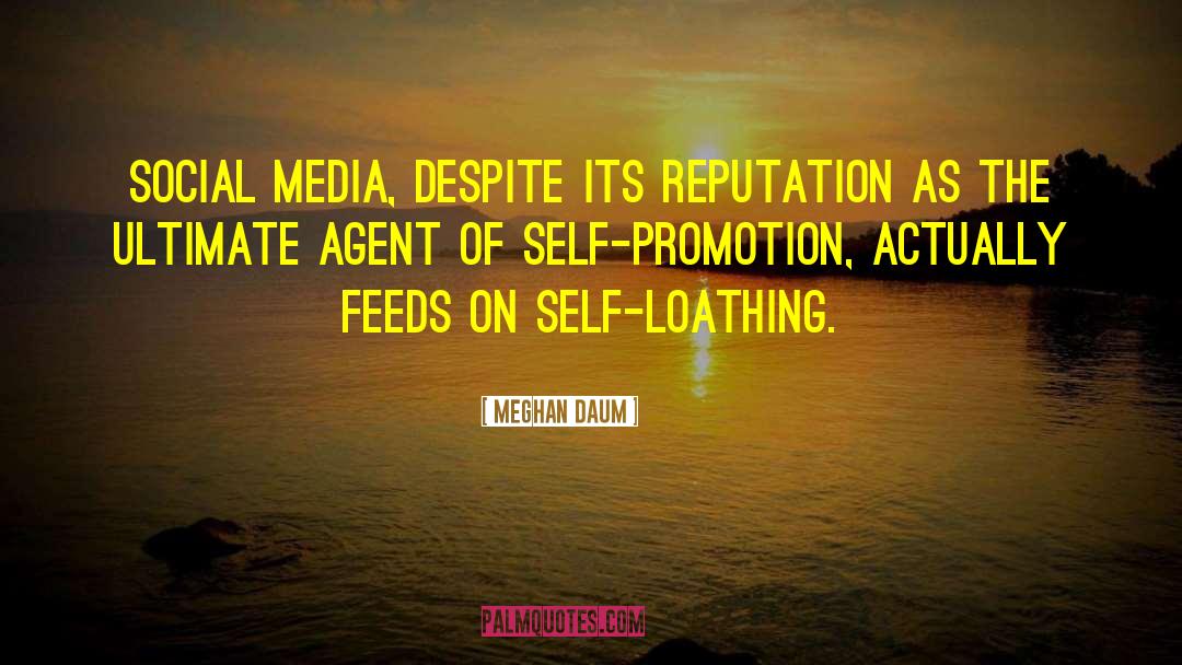 Meghan Daum Quotes: Social media, despite its reputation