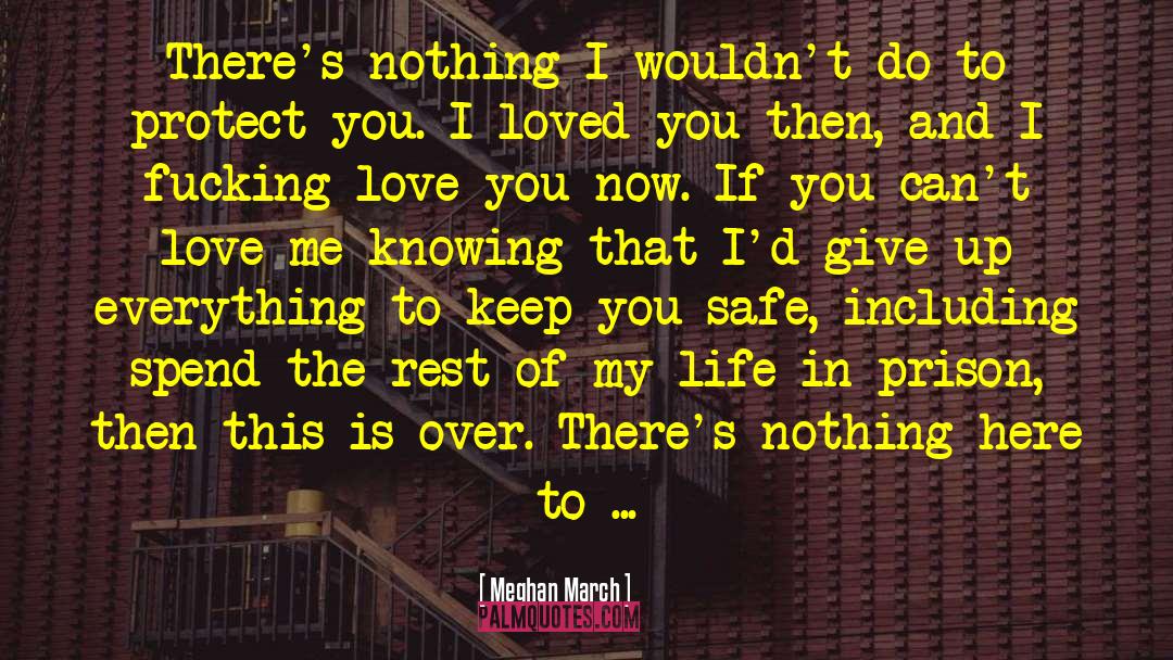 Meghan March Quotes: There's nothing I wouldn't do