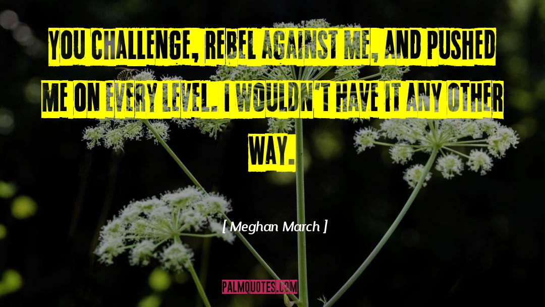 Meghan March Quotes: You challenge, rebel against me,