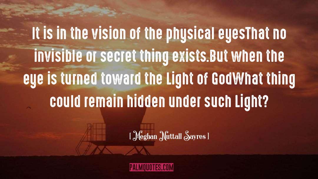 Meghan Nuttall Sayres Quotes: It is in the vision