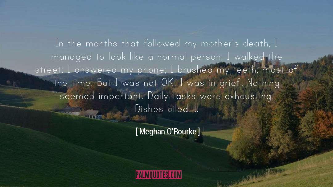 Meghan O'Rourke Quotes: In the months that followed