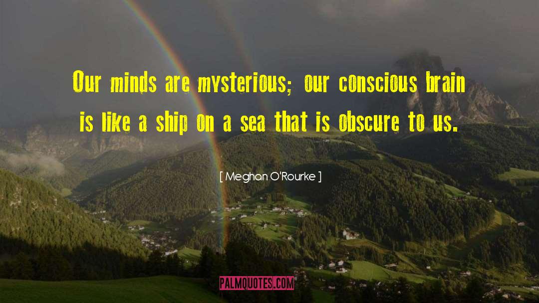 Meghan O'Rourke Quotes: Our minds are mysterious; our