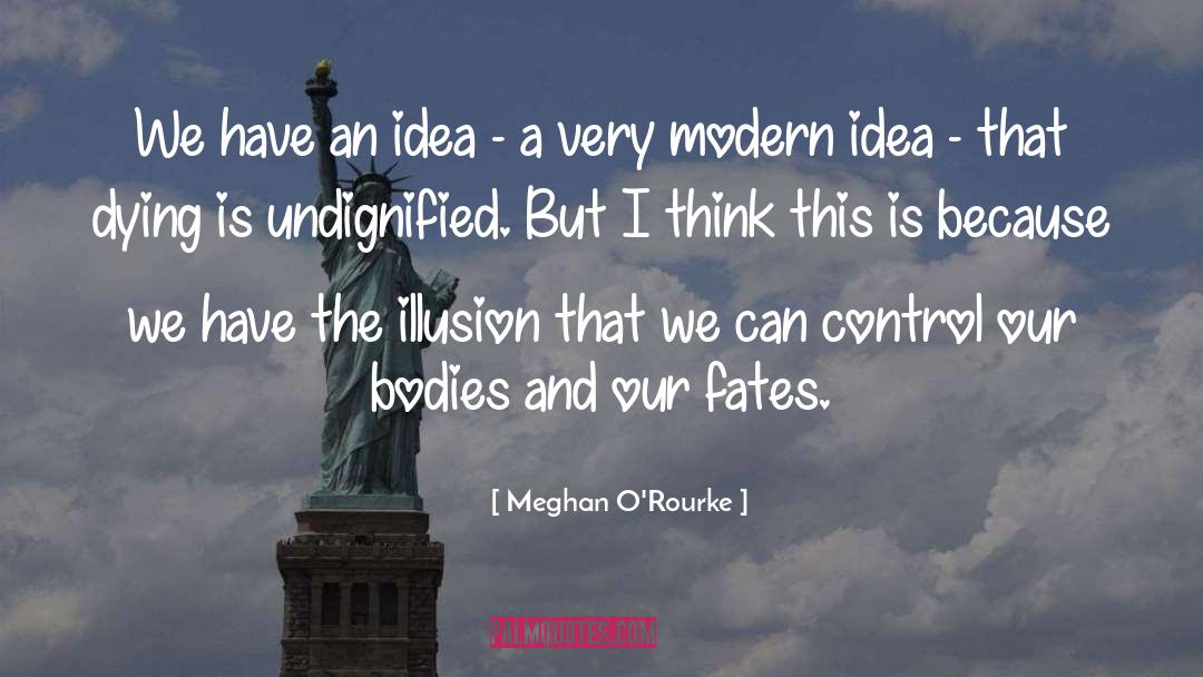 Meghan O'Rourke Quotes: We have an idea -