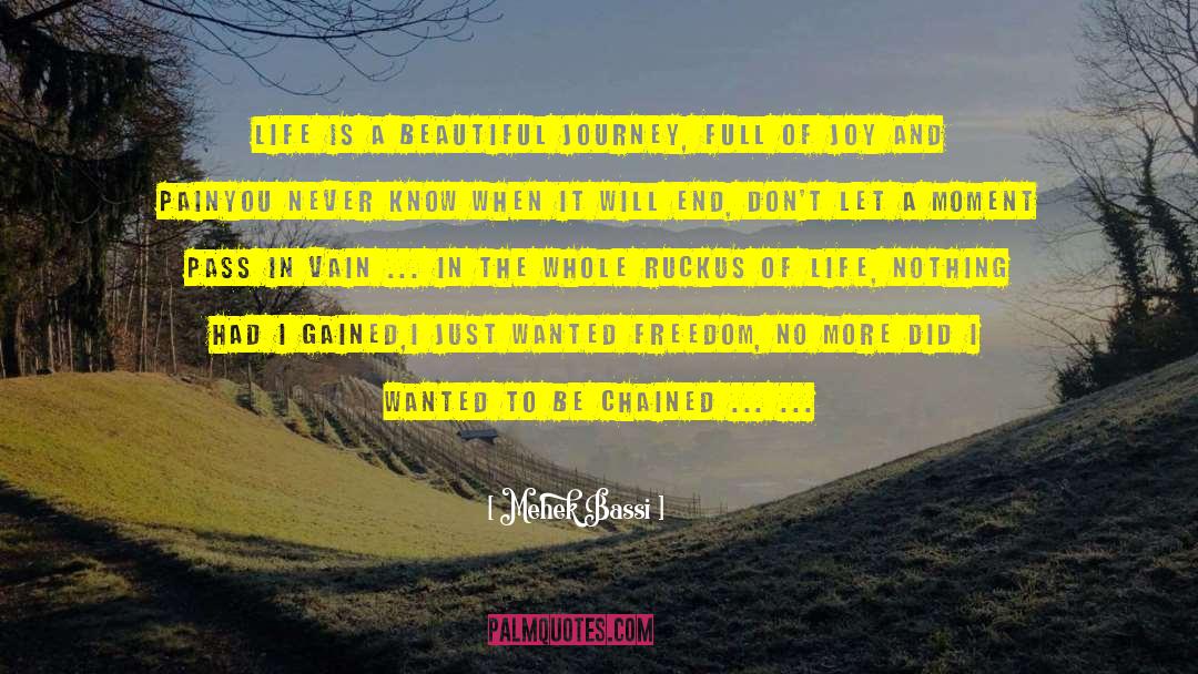 Mehek Bassi Quotes: Life is a beautiful journey,