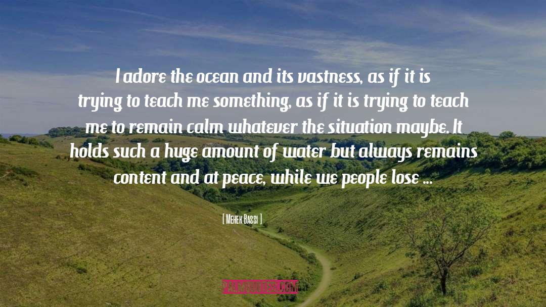 Mehek Bassi Quotes: I adore the ocean and