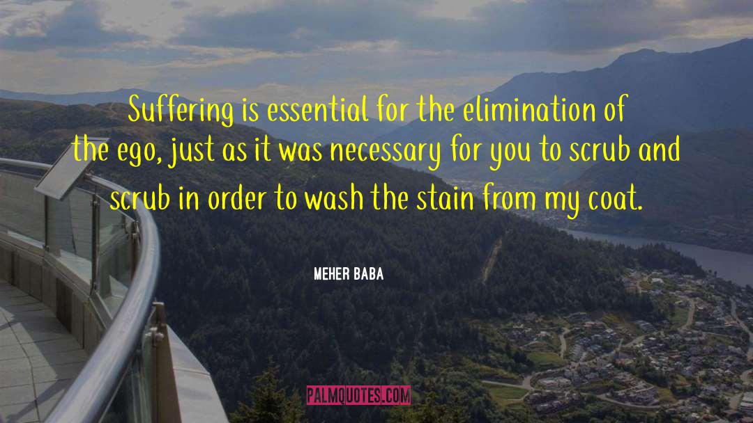 Meher Baba Quotes: Suffering is essential for the