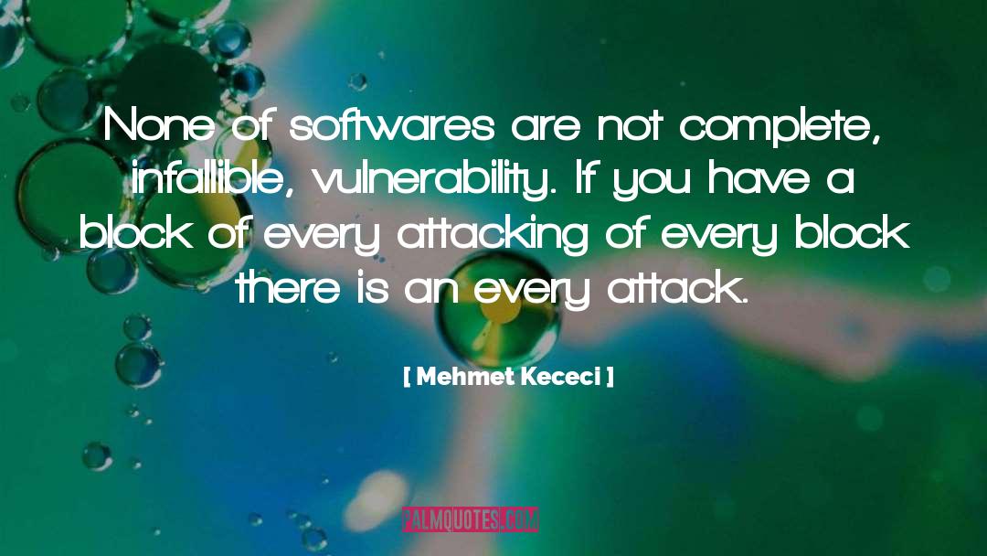 Mehmet Kececi Quotes: None of softwares are not