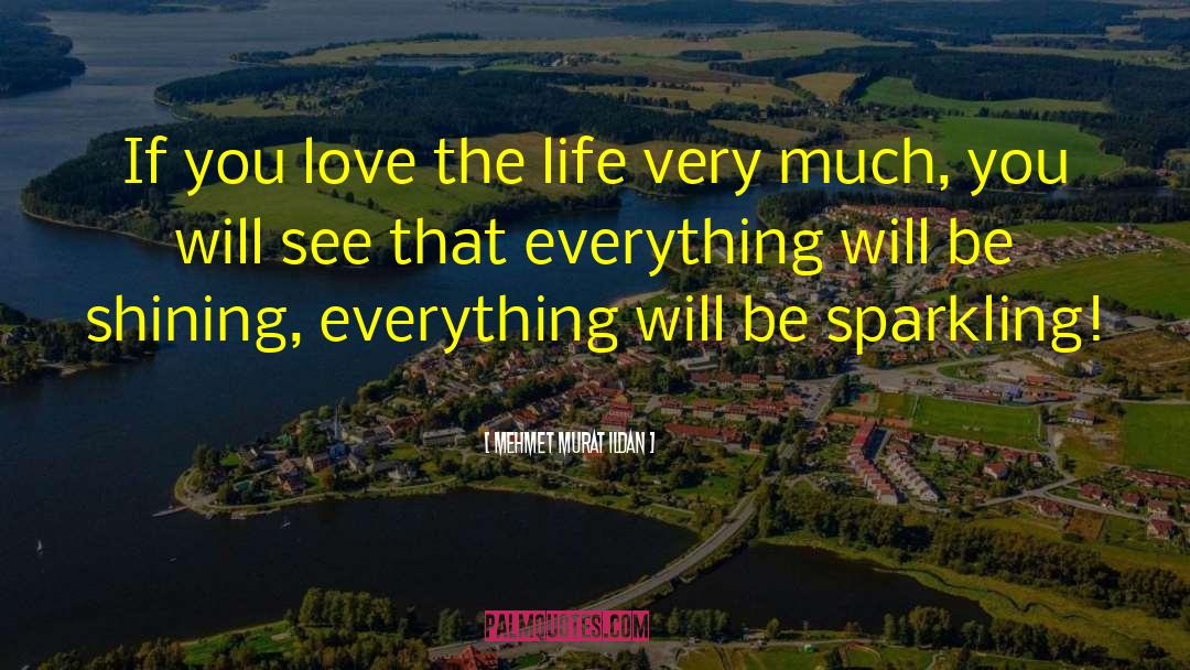 Mehmet Murat Ildan Quotes: If you love the life