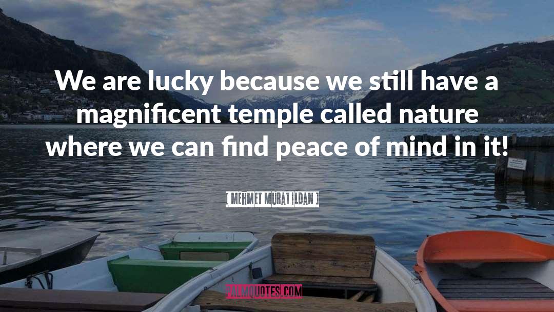 Mehmet Murat Ildan Quotes: We are lucky because we