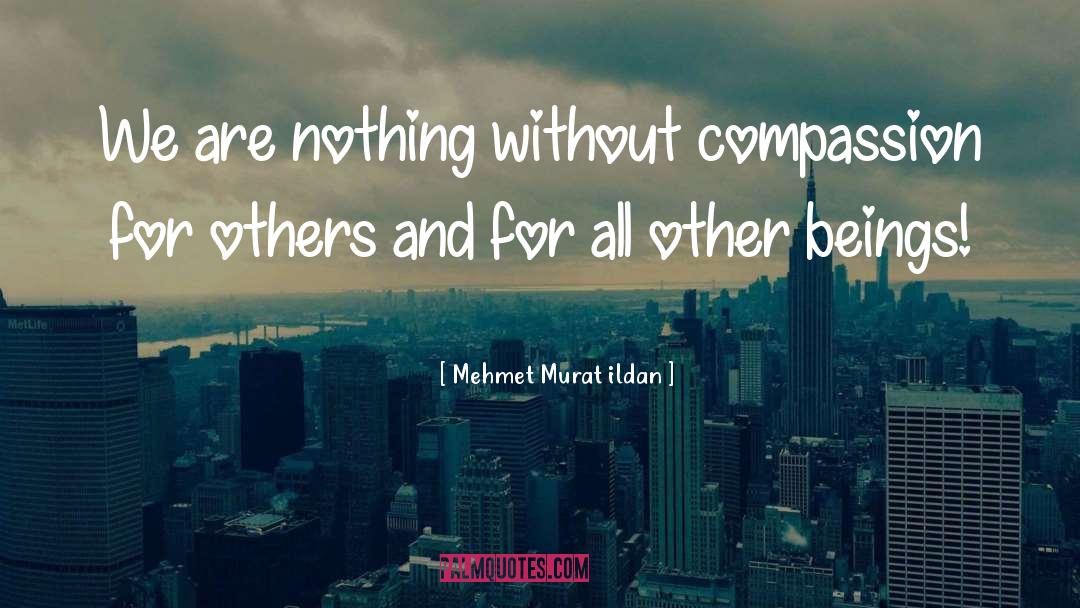 Mehmet Murat Ildan Quotes: We are nothing without compassion