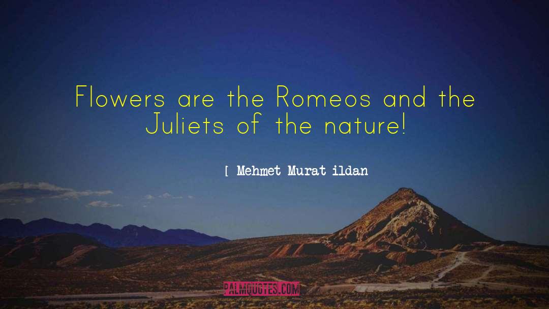 Mehmet Murat Ildan Quotes: Flowers are the Romeos and