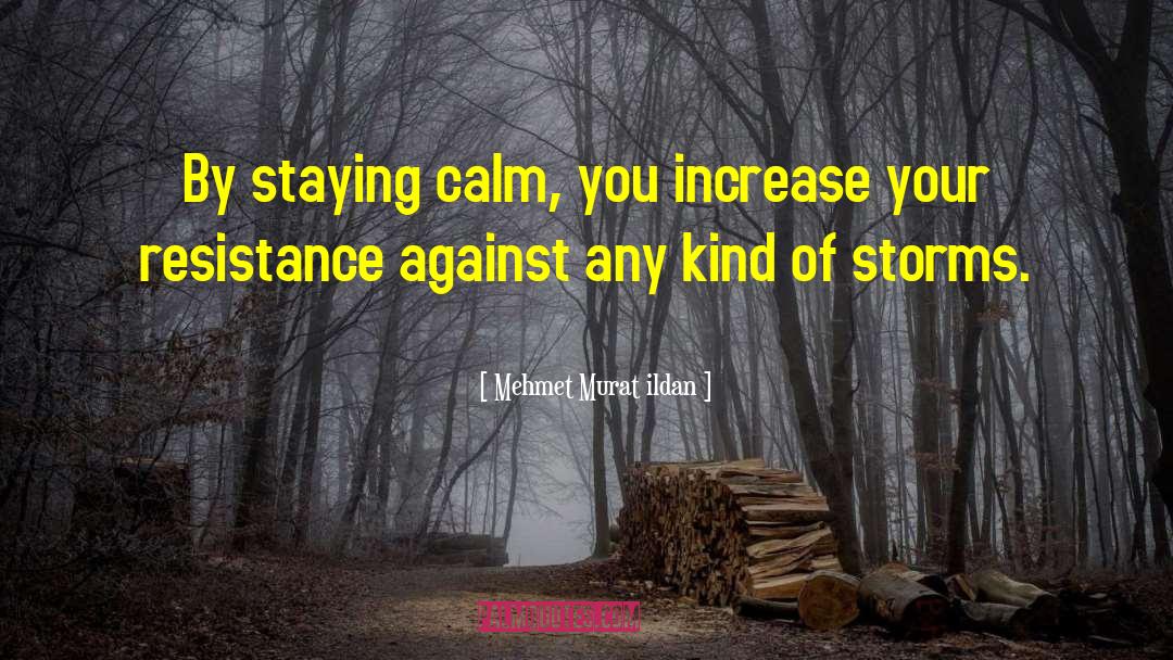 Mehmet Murat Ildan Quotes: By staying calm, you increase