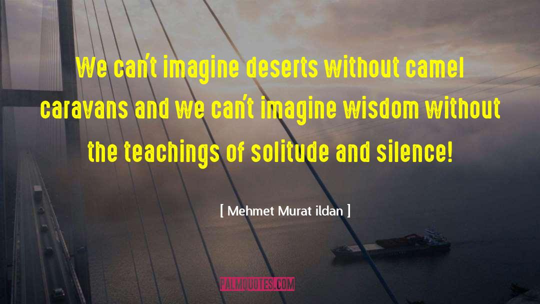 Mehmet Murat Ildan Quotes: We can't imagine deserts without