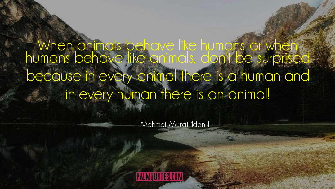 Mehmet Murat Ildan Quotes: When animals behave like humans