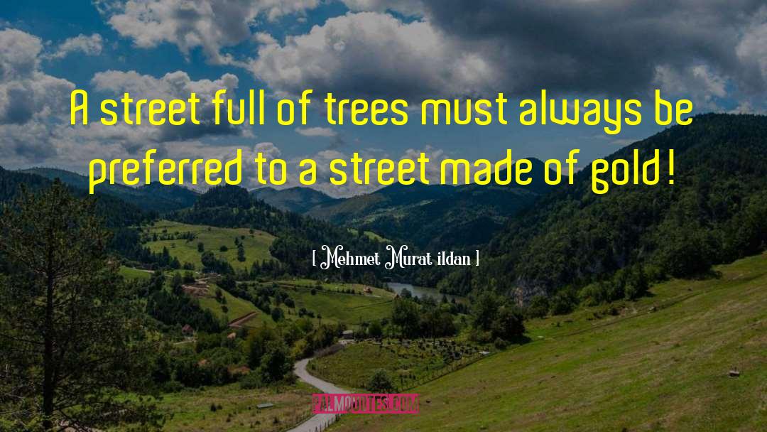 Mehmet Murat Ildan Quotes: A street full of trees