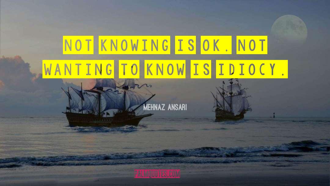 Mehnaz Ansari Quotes: Not knowing is ok. Not